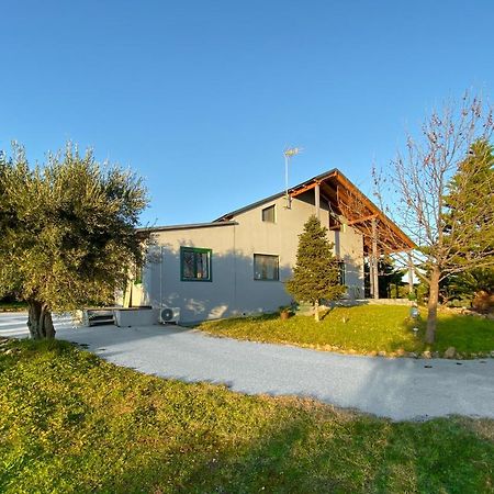 Maison d'hôtes Olive Grove à Anavyssos Extérieur photo