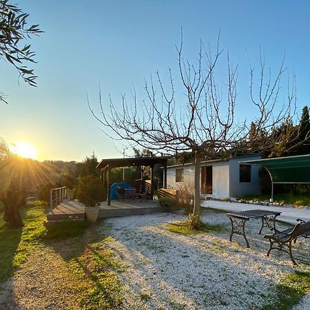 Maison d'hôtes Olive Grove à Anavyssos Extérieur photo