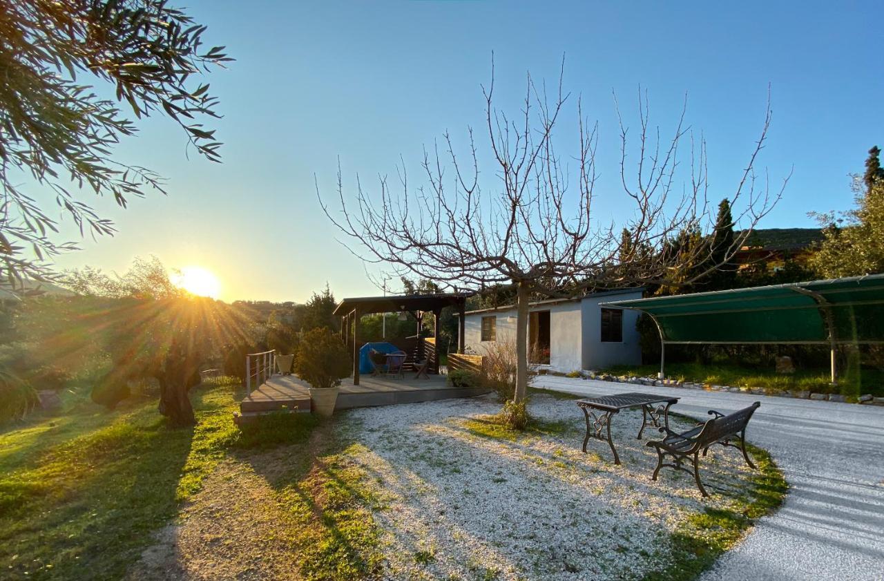 Maison d'hôtes Olive Grove à Anavyssos Extérieur photo