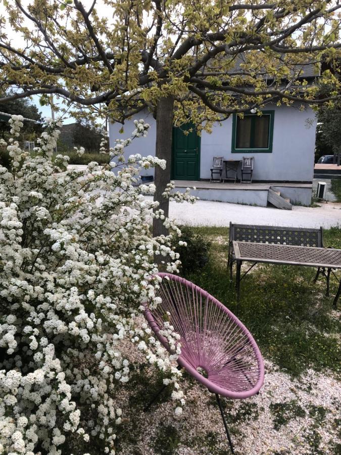 Maison d'hôtes Olive Grove à Anavyssos Extérieur photo