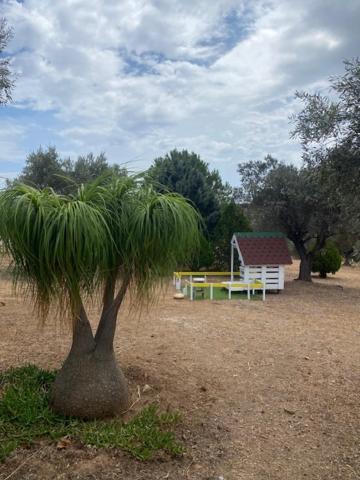 Maison d'hôtes Olive Grove à Anavyssos Extérieur photo