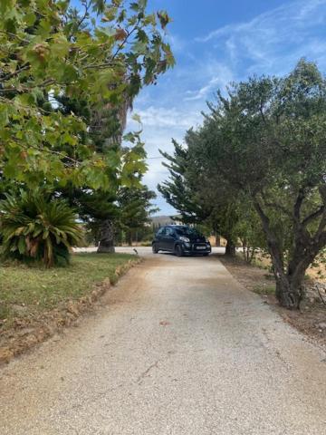 Maison d'hôtes Olive Grove à Anavyssos Extérieur photo