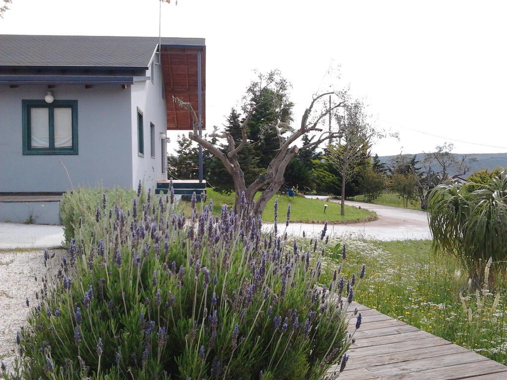 Maison d'hôtes Olive Grove à Anavyssos Extérieur photo